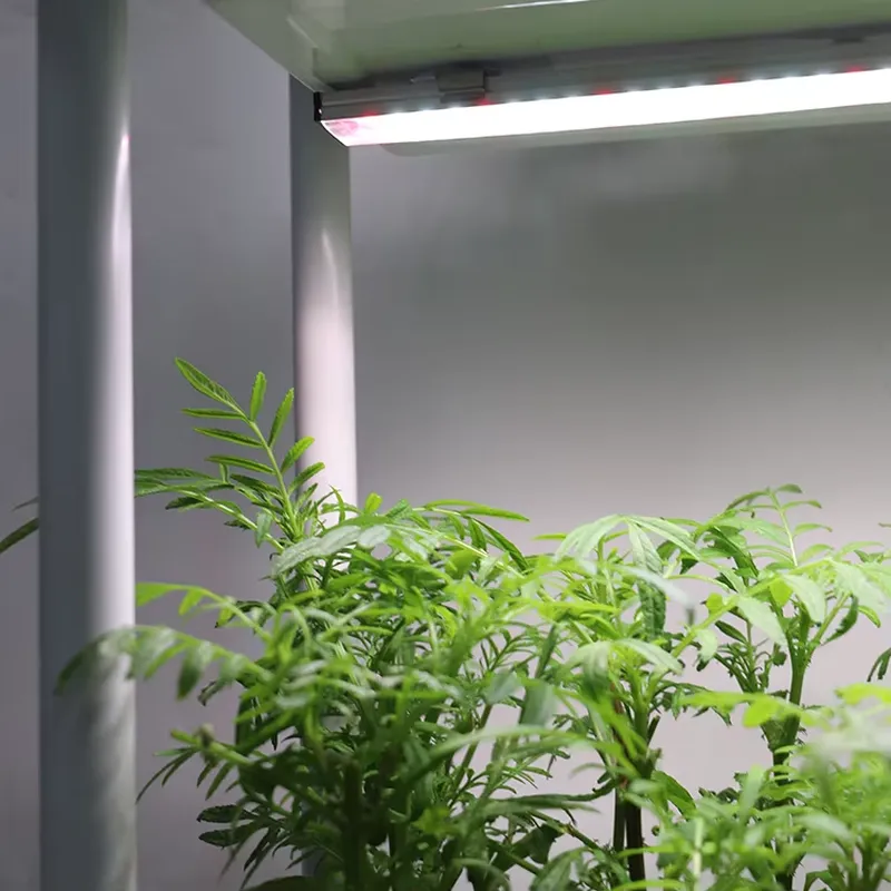 Smart Garden Box - กล่องปลูกต้นไม้แบบเคลื่อนย้ายได้ 3 ชั้น พร้อมระบบรดน้ำอัตโนมัติ ระบบปลูกพืชสมุนไพรในร่มพร้อมไฟส่องสว่าง