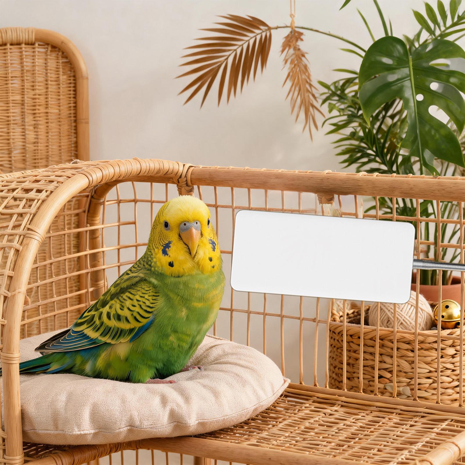 Smart Garden Bird Bath - เครื่องทำความร้อนสำหรับสัตว์เลี้ยง 5V อุปกรณ์ให้ความอบอุ่นในฤดูหนาวสำหรับสัตว์เลี้ยงอย่างปลอดภัย เครื่องทำความร้อนอัจฉริยะสำหรับนกแก้วในฤดูหนาว เหมาะสำหรับสวนในร่ม นกมาคอว์