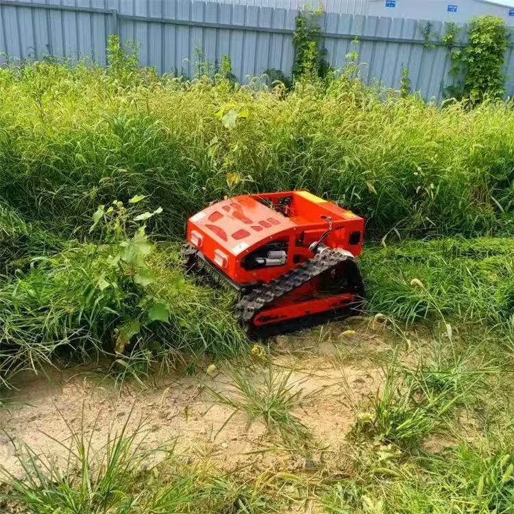 เครื่องตัดหญ้าอัจฉริยะแบบรีโมท - Smart Garden Trimmer บทวิจารณ์และราคา