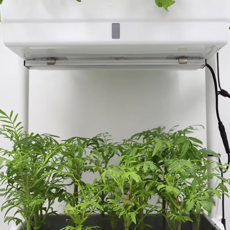 กล่องปลูกต้นไม้แบบเคลื่อนย้ายไ - Smart Garden Box บทวิจารณ์และราคา