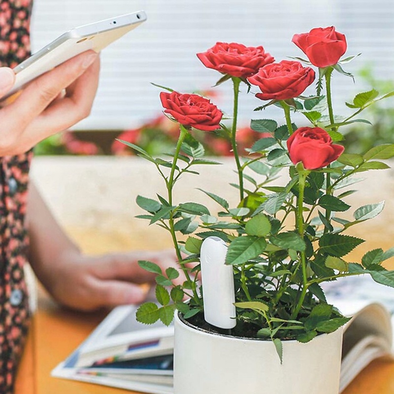 HHCC ดอกไม้ Monitor Flora Gard - Smart Garden Monitor บทวิจารณ์และราคา