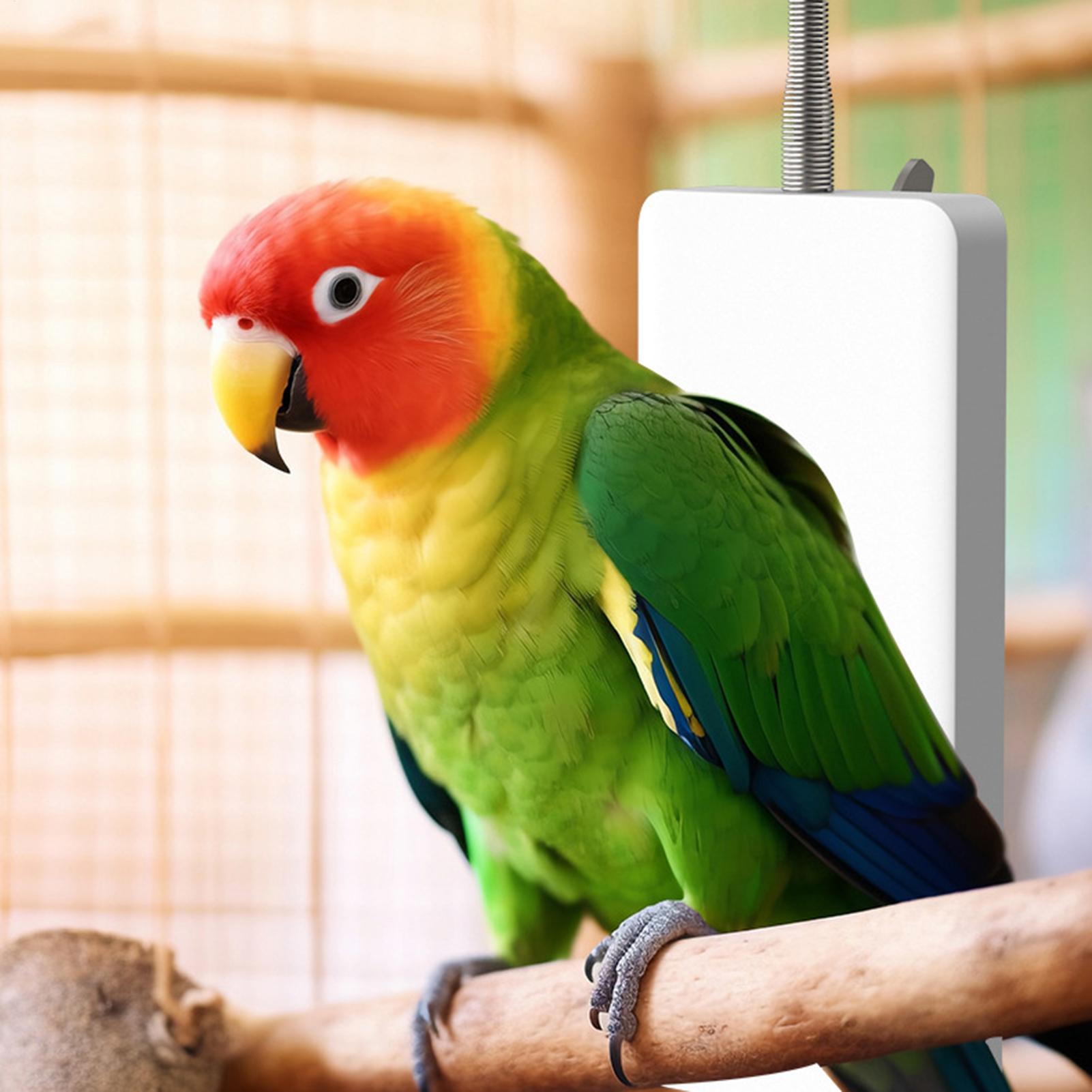 เครื่องทำความร้อนสำหรับสัตว์เล - Smart Garden Bird Bath บทวิจารณ์และราคา