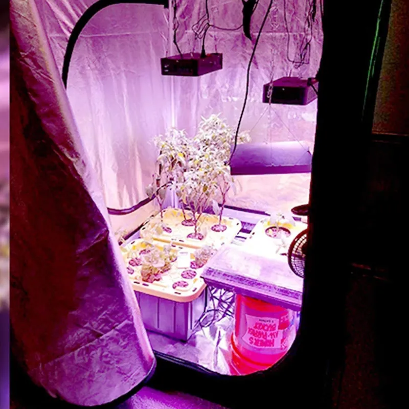เต็นท์ปลูกพืชในร่มแบบไฮโดรโปนิ - Grow Tent Complete Kit บทวิจารณ์และราคา