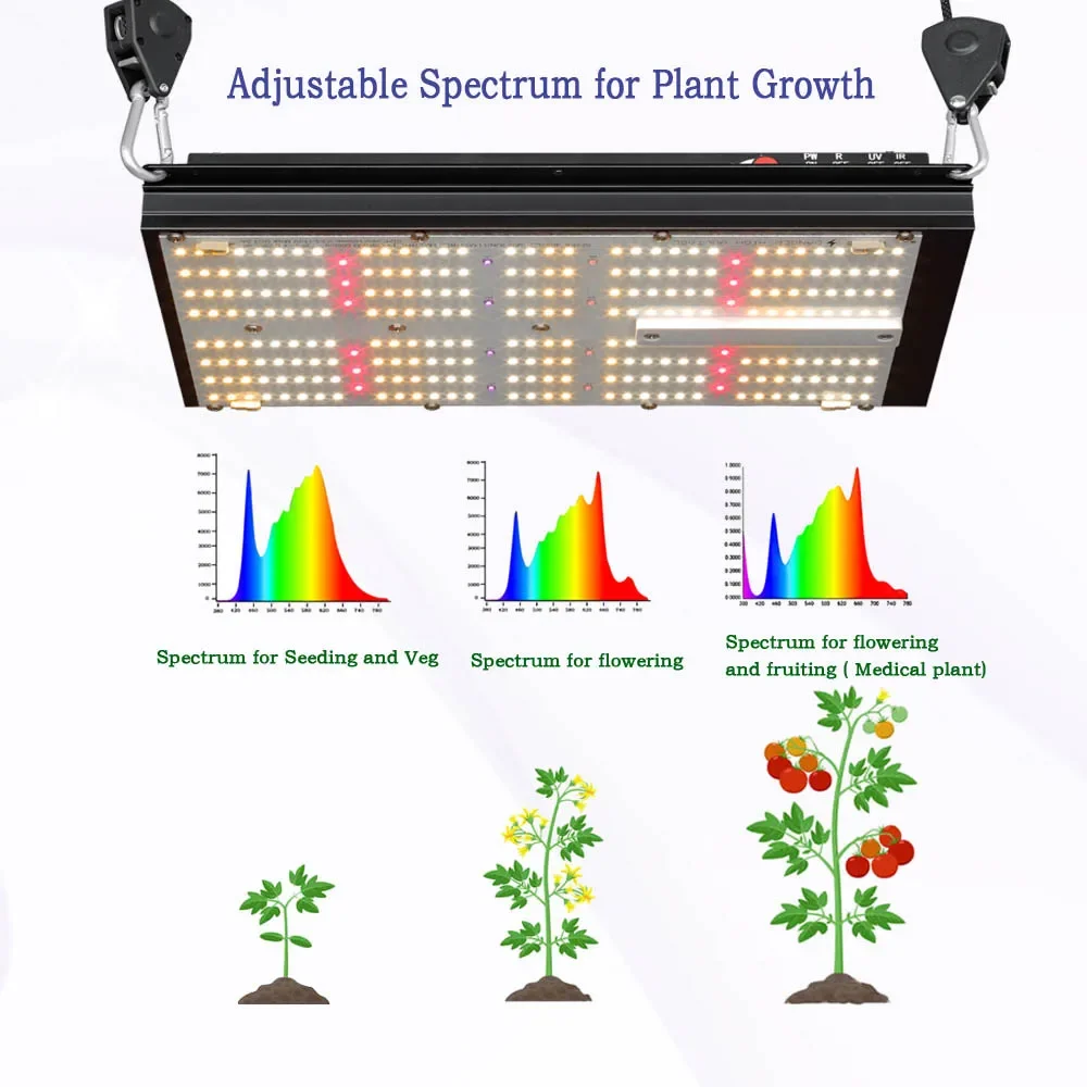 ระบบปลูกพืชไฮโดรโปนิกส์ BAVAGR - Grow Tent Complete Kit บทวิจารณ์และราคา
