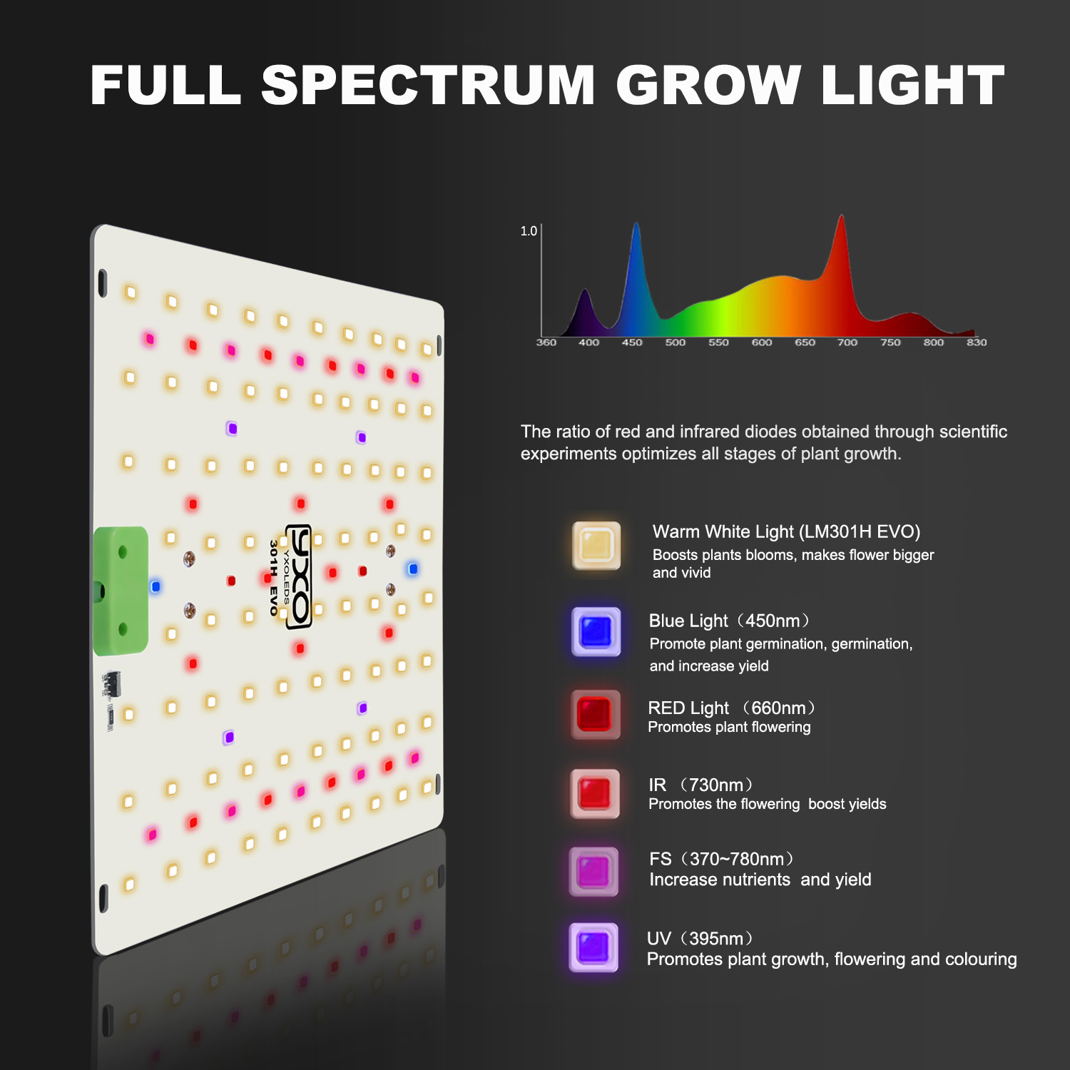 85W 180W LM301H EVO QUANTUM LE - Grow Tent Complete Kit บทวิจารณ์และราคา