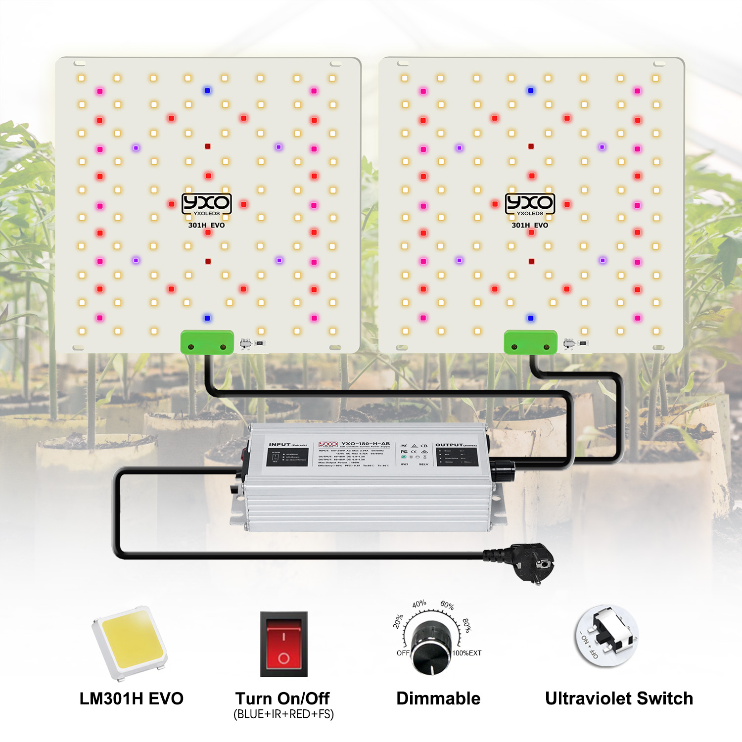 85W 180W LM301H EVO QUANTUM LE - Grow Tent Complete Kit บทวิจารณ์และราคา