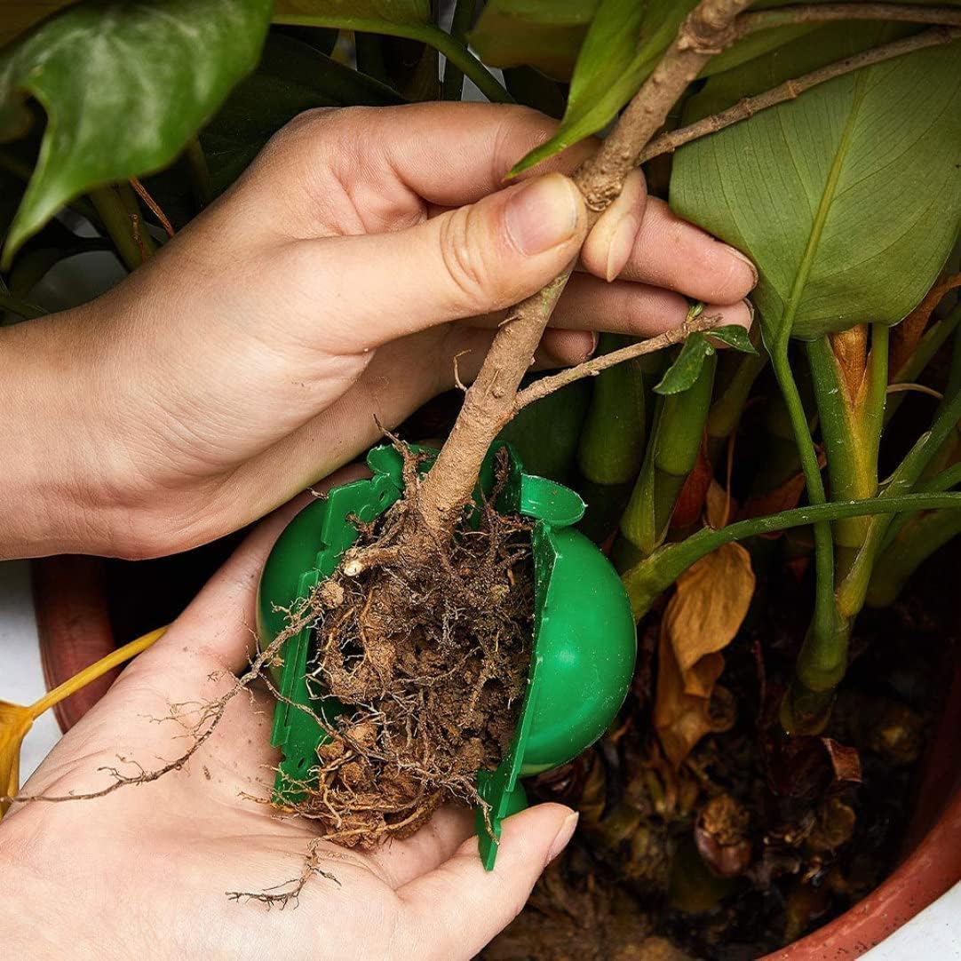 ลูกบอลเพาะชำรากพืชแบบใช้ซ้ำได้ - Smart Garden Box บทวิจารณ์และราคา