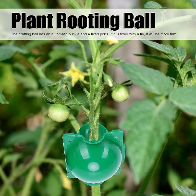 ลูกบอลเพาะชำรากพืชแบบใช้ซ้ำได้ - Smart Garden Box บทวิจารณ์และราคา