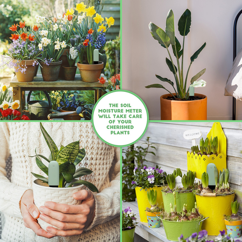 HHCCC เครื่องตรวจสอบการดูแลพืช - Smart Garden Monitor บทวิจารณ์และราคา