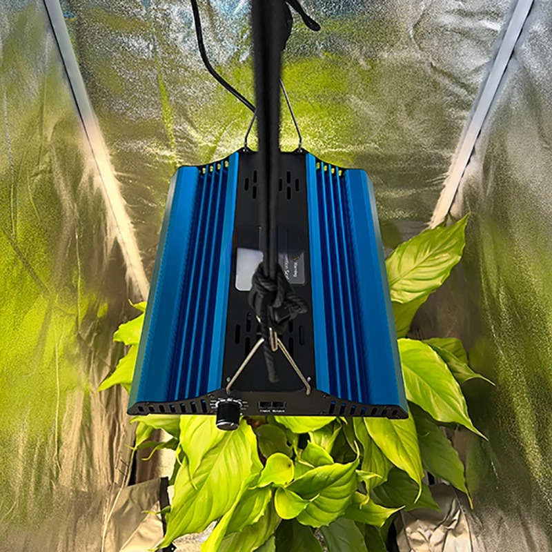 เต็นท์ปลูกต้นไม้ขนาด 60*60*160 - Grow Tent Complete Kit บทวิจารณ์และราคา